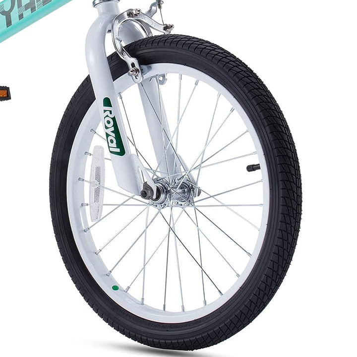 RoyalBaby Formula 20" Kids Bike with Kickstand and Dual Hand Brakes, Green(Used) - VMInnovations