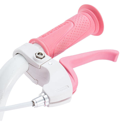 RoyalBaby 18" Kids Bike w/Kickstand, Dual Brakes, Basket & Bell, Pink (Open Box) - VMInnovations