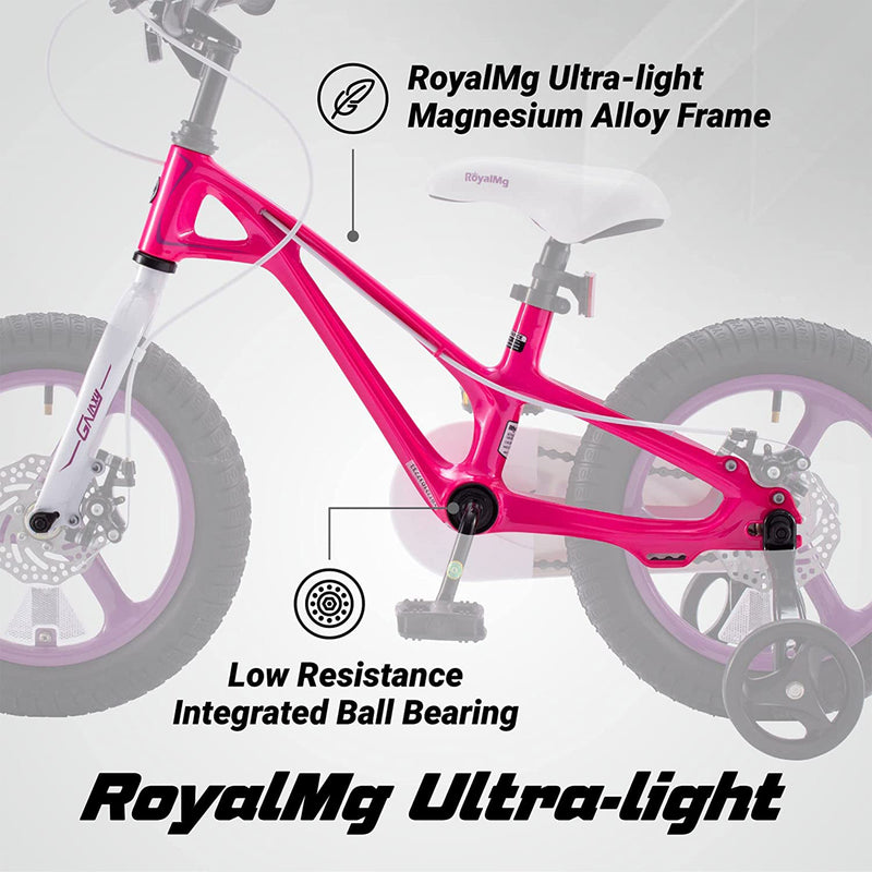 RoyalBaby RoyalMg Galaxy Fleet 16" Kids Bicycle with Training Wheels, Fuchsia