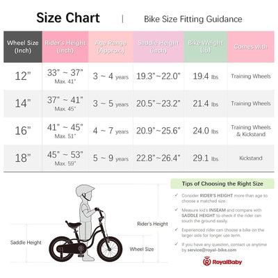 RoyalBaby Little Swan 12" Carbon Steel Kids Bicycle with Dual Hand Brakes, Pink - VMInnovations