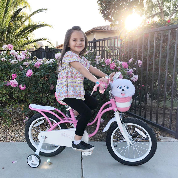 RoyalBaby Little Swan 16" Carbon Steel Bicycle w/Hand Brakes, Pink (Open Box) - VMInnovations