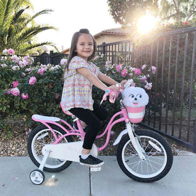 RoyalBaby Little Swan 16" Carbon Steel Bicycle w/Hand Brakes, Pink (Open Box) - VMInnovations