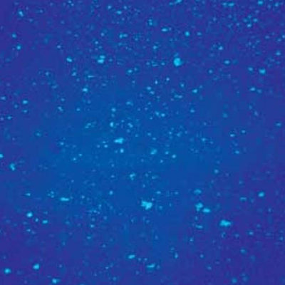 ADJ Holiday and Winter Imitation Snow Machine with 1 Gallon Snow Fluid Juice - VMInnovations
