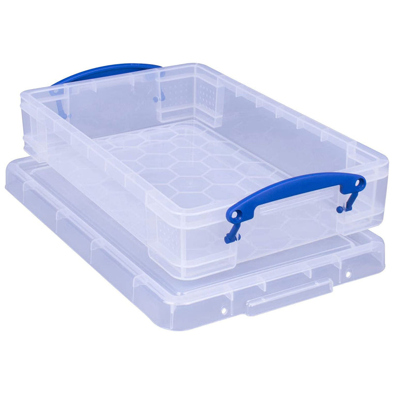 Really Useful Box 4L Storage Container with Lid and Clip Lock Handles, (2 Pack)