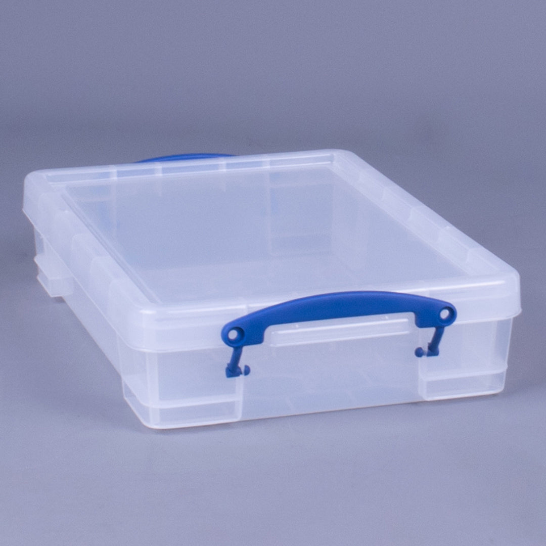 Really Useful Box 4L Storage Container with Lid and Clip Lock Handles, (2 Pack)