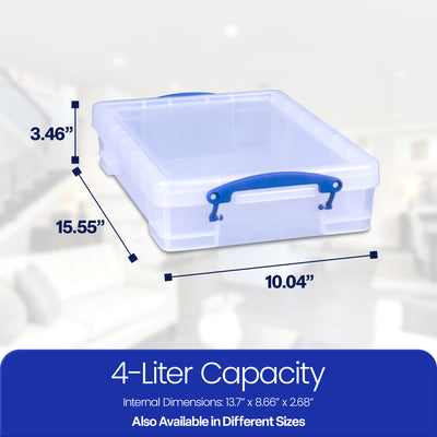 Really Useful Box 4L Storage Container with Lid and Clip Lock Handles, (10 Pack) - VMInnovations