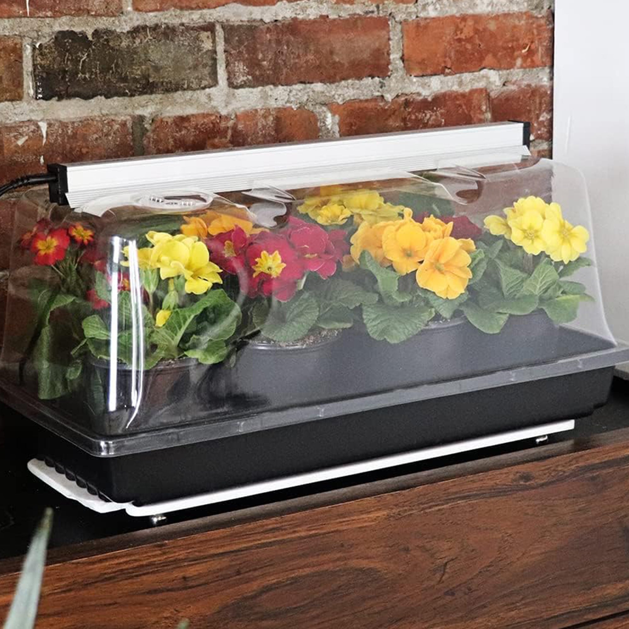 SunBlaster Mini Greenhouse Kit w/NanoDome & Tray for Seed Starter (Used) - VMInnovations