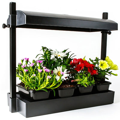 SunBlaster SL1600198 T5HO Micro T5 Grow Light Garden for Seed Starting, Black - VMInnovations