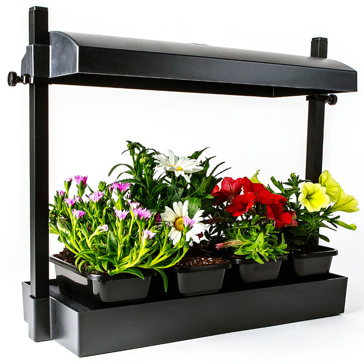 SunBlaster T5HO Micro T5 Grow Light Garden for Seed Starting, Black (Open Box)