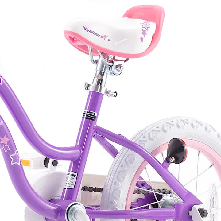 RoyalBaby Stargirl 14" Kids Bicycle with Basket, Bell & Training Wheels, Purple