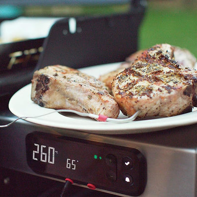 Weber Spirit SX-315 Stainless Steel 3 Burner Liquid Propane Gas Smart Grill - VMInnovations