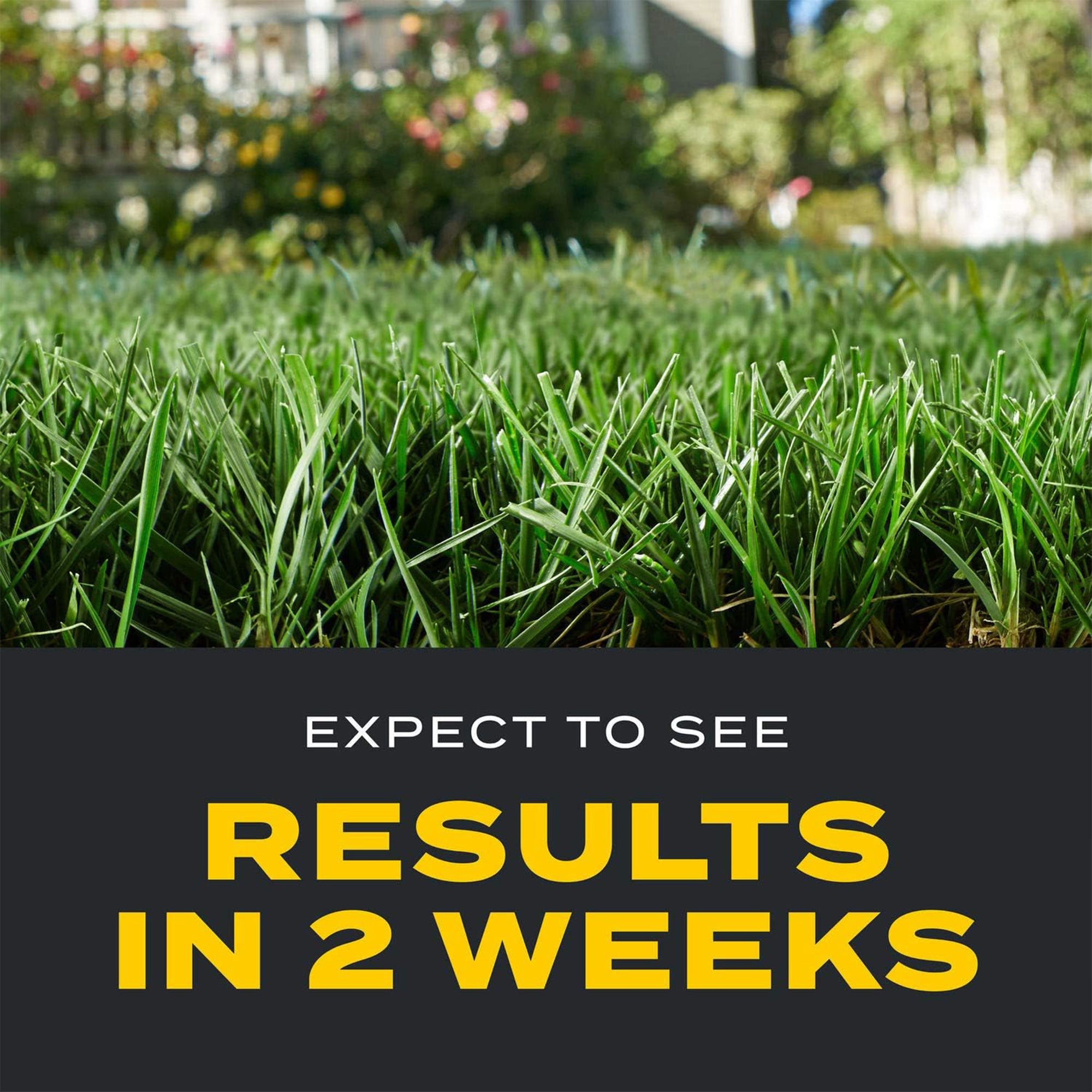 Scotts Turf Builder 3-in-1 Weed Destroyer and Lawn Fertilizer for 12,000 Sq Ft
