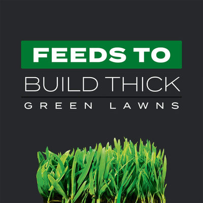 Scotts Turf Builder 3-in-1 Weed Destroyer and Lawn Fertilizer for 12,000 Sq Ft