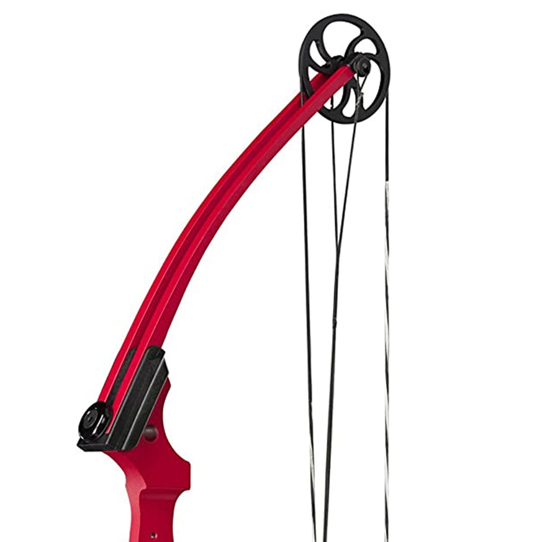 Genesis Archery Compound Bow Adjustable Sizing for Right Handed, Red (4 Pack)