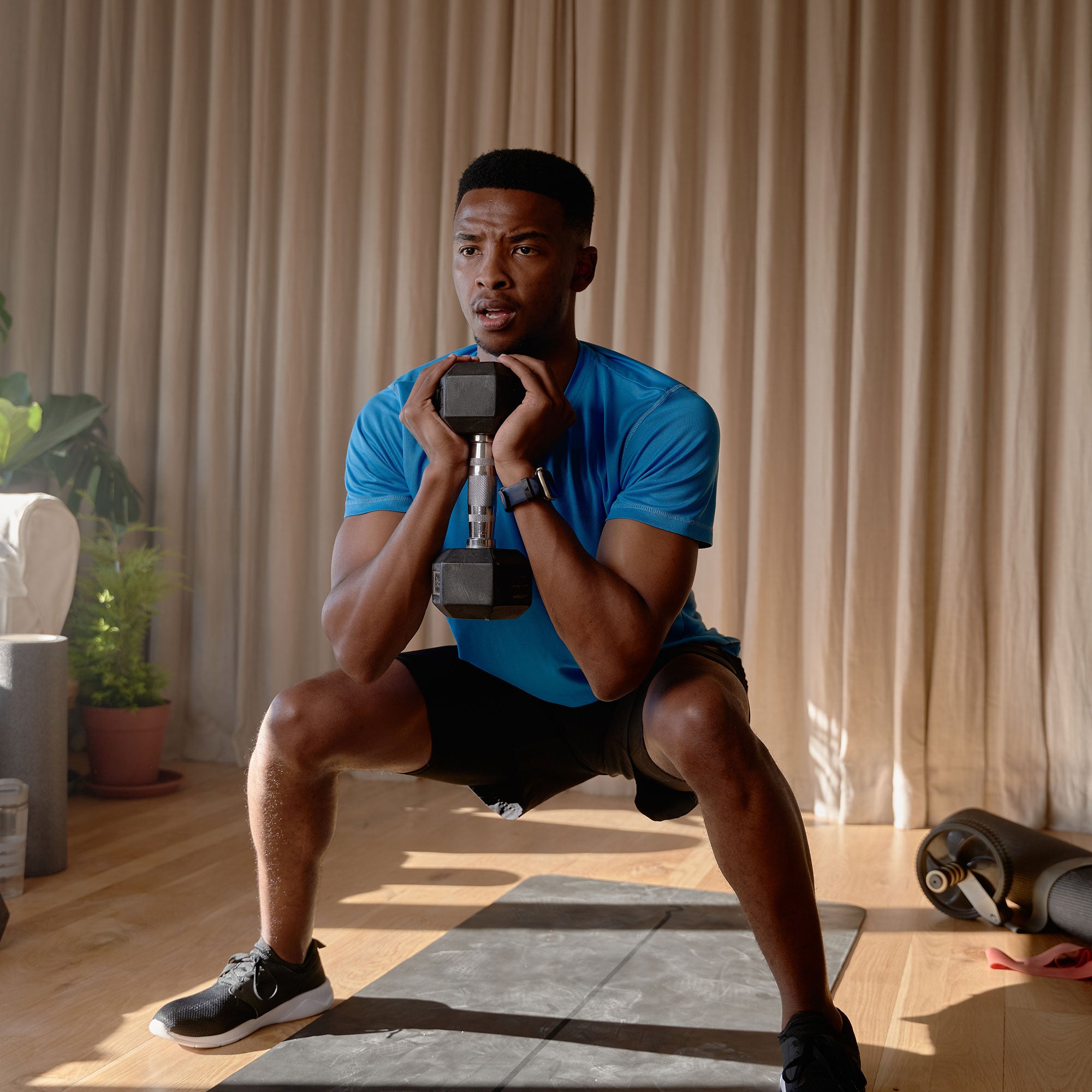HolaHatha Iron Hex Cast Home Exercise Dumbbell Free Weight, 40 Pounds (Open Box) - VMInnovations