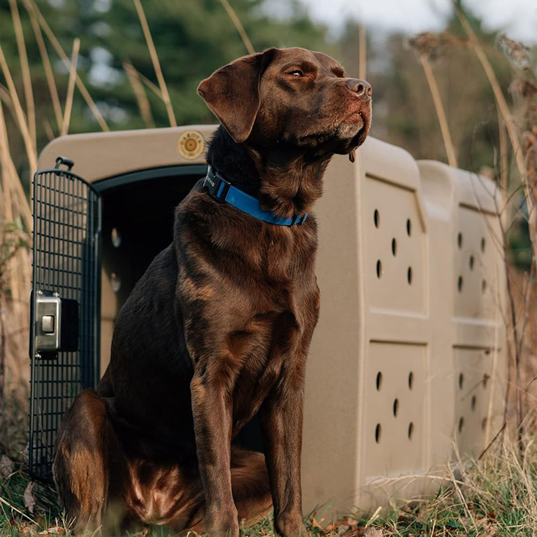 Dakota  Large Easy to Clean Kennel w/ Handle & Latching Door, Olive (Open Box) - VMInnovations