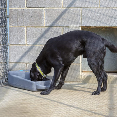 Dakota 283 3.5 Gal Water Dispenser System for Dogs & Pets, Coyote Tan (Open Box) - VMInnovations