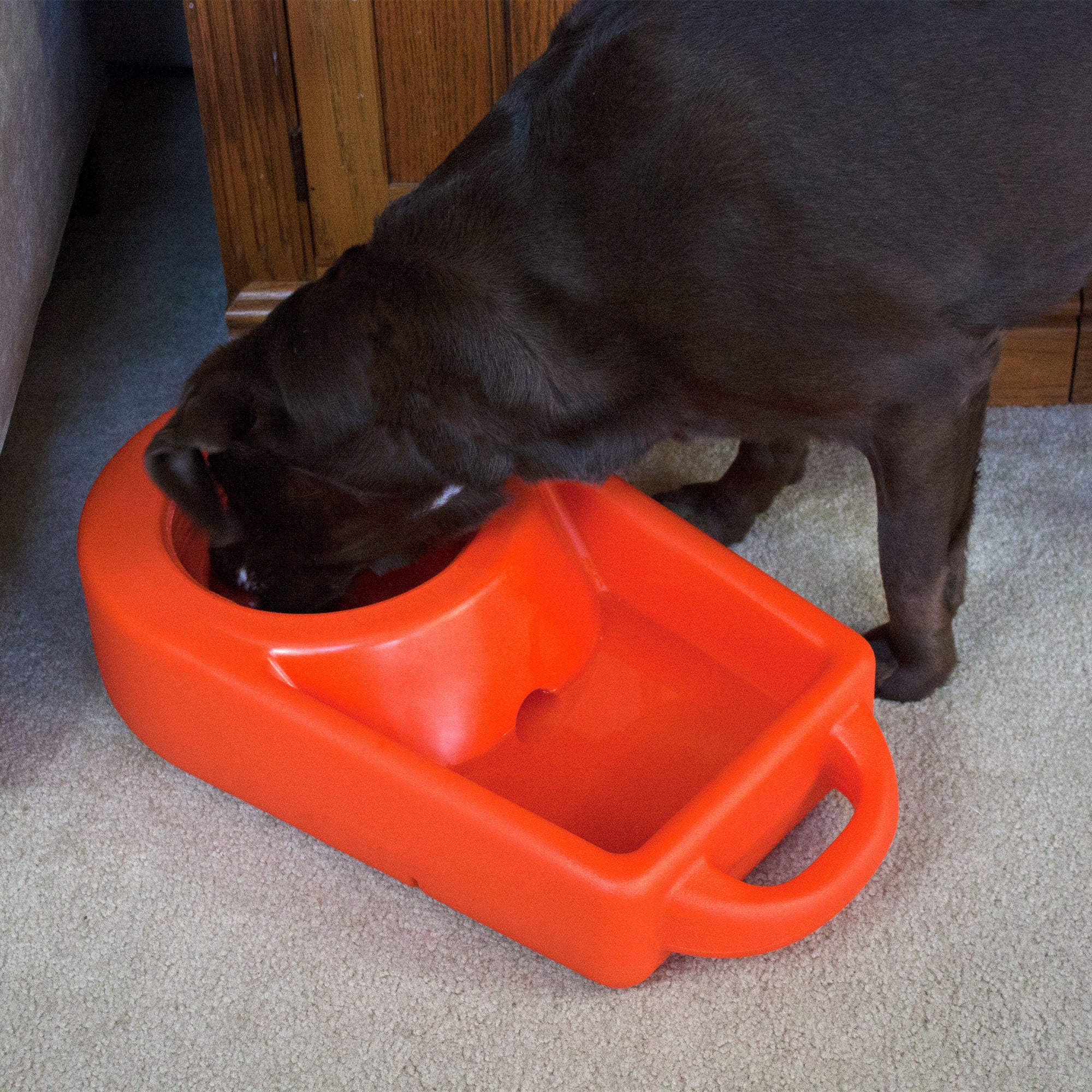 Dakota 283 Dine N Dash Large Pets Feeding and Watering System with Lid, Orange - VMInnovations