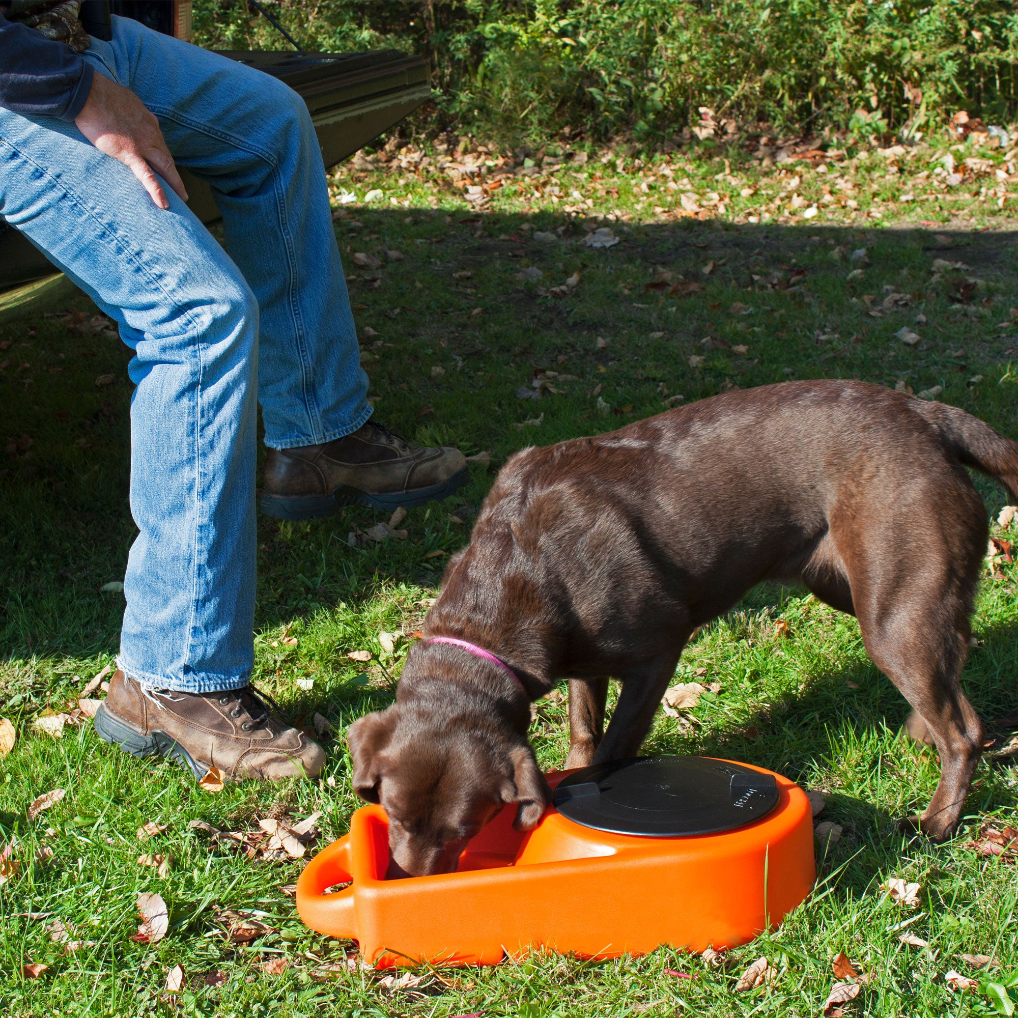 Dakota 283 Dine N Dash Large Pets Feeding and Watering System with Lid, Orange - VMInnovations