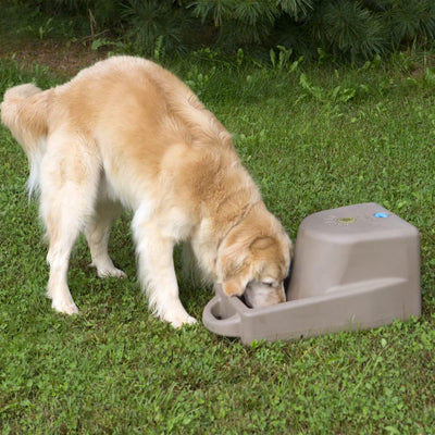 Dakota 283 Dash 5 Gallon Water Dispenser System for Dogs & Pets, Dark Granite