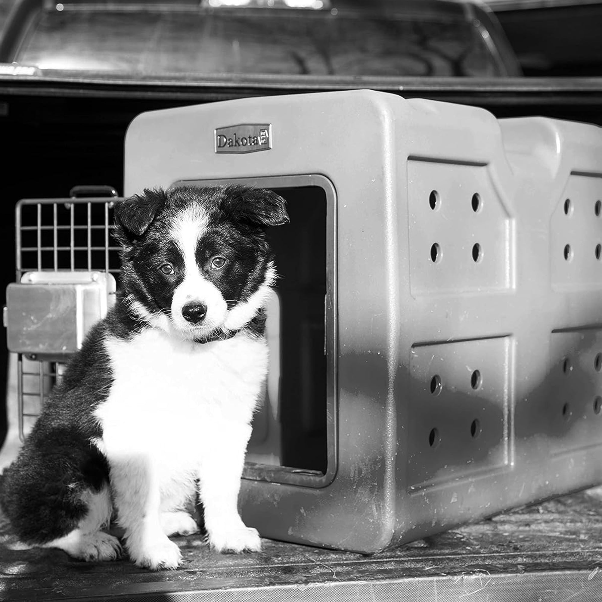 Dakota G3 Small Easy To Clean Dog Kennel w/ Handle & Latching Door, Olive (Used) - VMInnovations