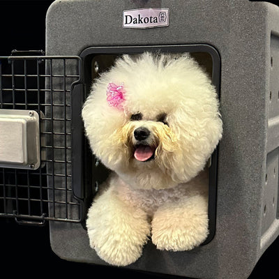 Dakota 283 G3 Easy To Clean Kennel w/ Handle & Latching Door,Granite (Open Box) - VMInnovations