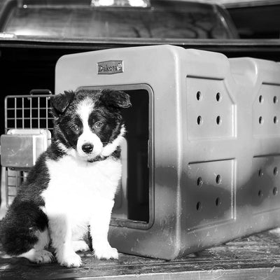 Dakota 283 G3 Easy To Clean Kennel w/ Handle & Latching Door,Granite (Open Box) - VMInnovations