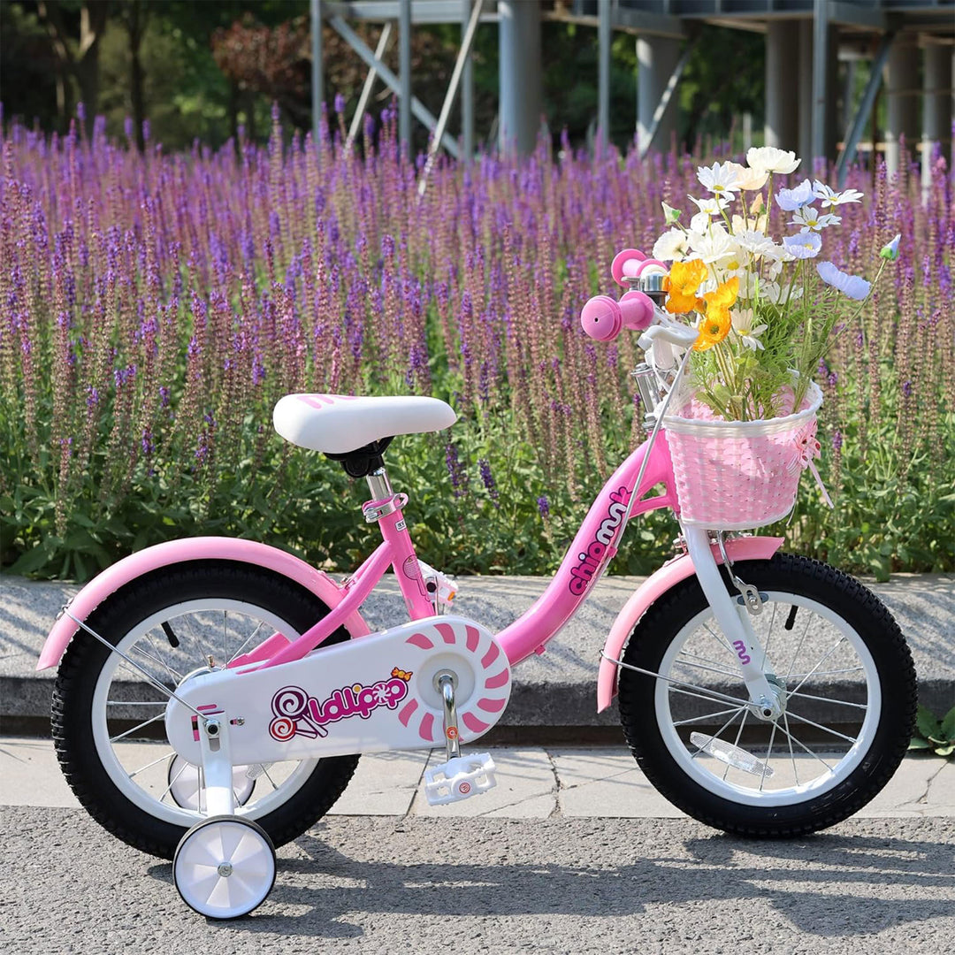 RoyalBaby Chipmunk 16" Kids Bicycle w/ Basket, Training Wheels & Kickstand, Pink