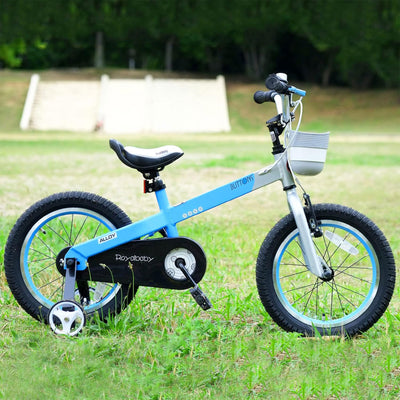 RoyalBaby Buttons 14 Inch Kids Bike with Training Wheels and Coaster Brake, Blue - VMInnovations