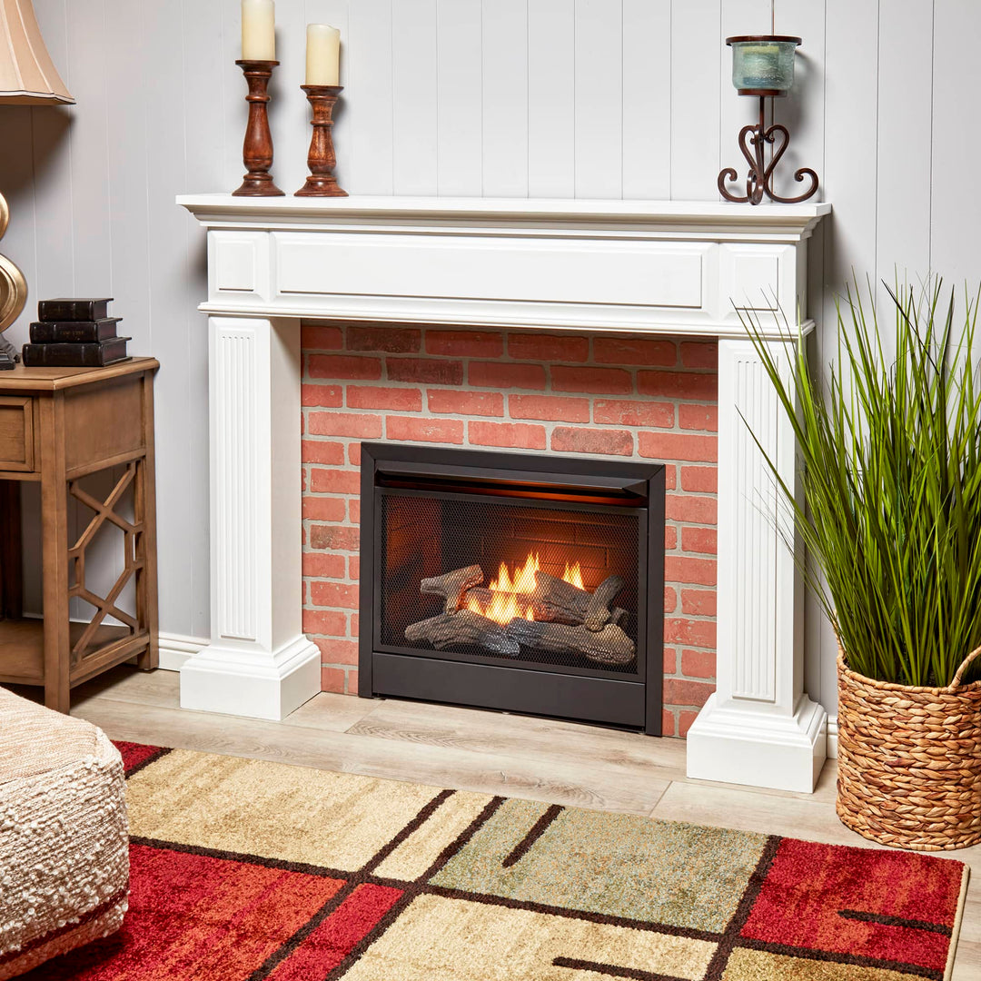 Duluth Forge 26,000 BTU Dual Fuel Ventless Gas Fireplace Insert w/Remote Control - VMInnovations