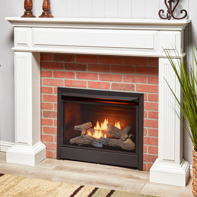 Duluth Forge 26,000 BTU Dual Fuel Ventless Gas Fireplace Insert w/Remote Control - VMInnovations