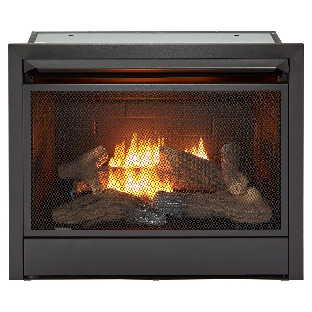 Duluth Forge 26,000 BTU Dual Fuel Ventless Gas Fireplace Insert w/Remote Control - VMInnovations