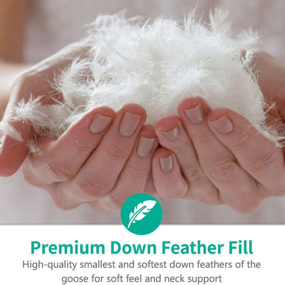 APSMILE Goose Feathers & Down Pillow w/Gusseted Pillow Inserts (Used) - VMInnovations