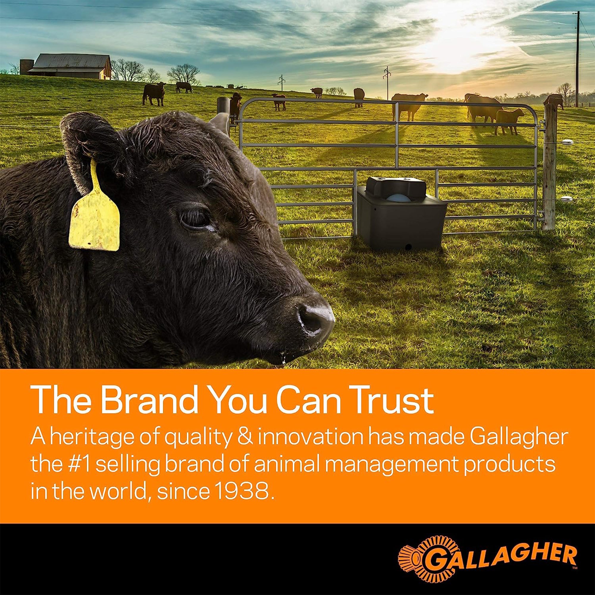 Gallagher Portable Solar Electric Fence Energizer with Solar Battery & Leadsets - VMInnovations