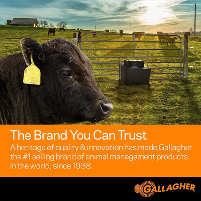 Gallagher Portable Solar Electric Fence Energizer with Solar Battery & Leadsets - VMInnovations