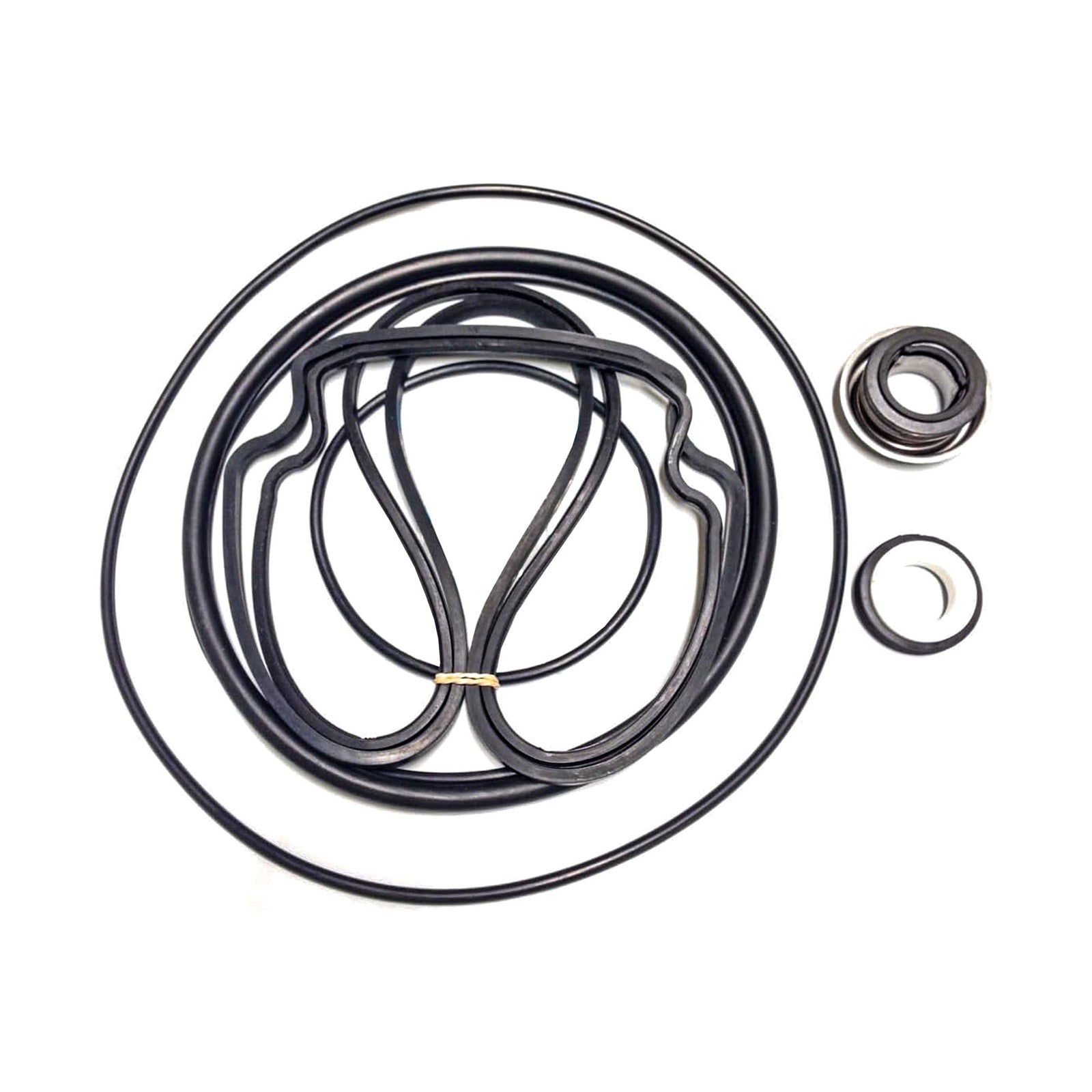 Pentair Swimming Pool Pump Seal Kit For WhisperFlo & IntelliFlo Pumps(Open Box) - VMInnovations