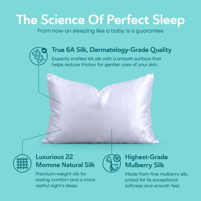 Sleepgram Queen Standard Size Breathable Cooling 6A Silk Pillowcase, Grey Stone