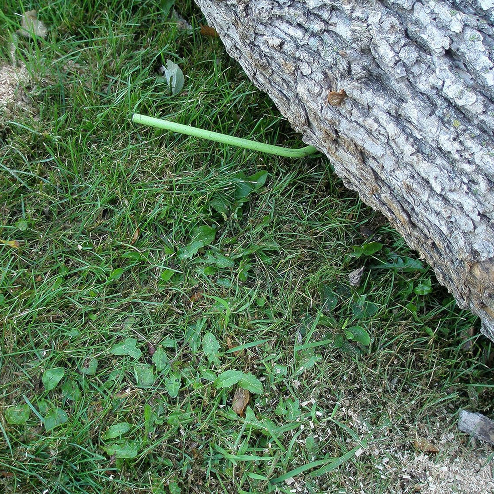 Timber Tuff 15ft Choker Chain w/Probe Stake for ATVs, UTVs, & Tractors(Open Box) - VMInnovations