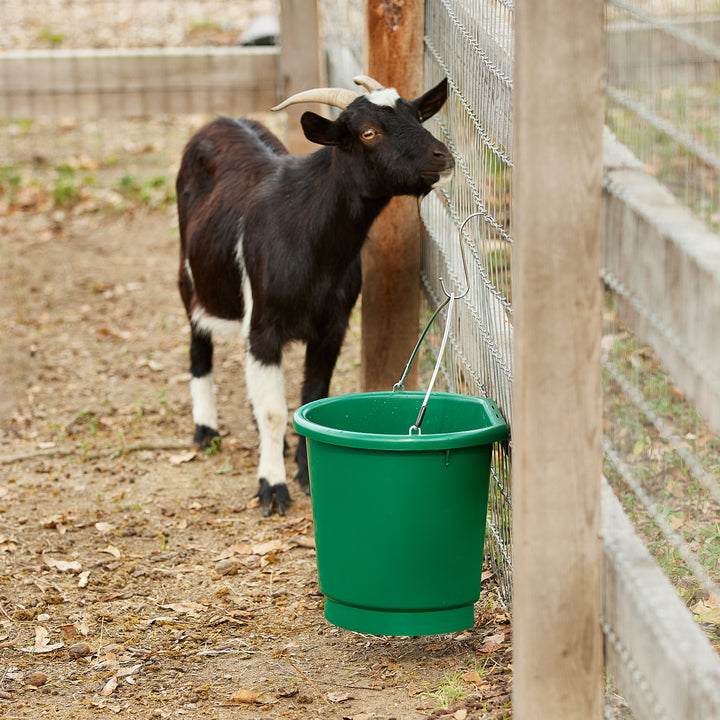 Farm Innovators 3 Gal Flat Back Plastic Heated Bucket, 70 Watt, Green (2 Pack)