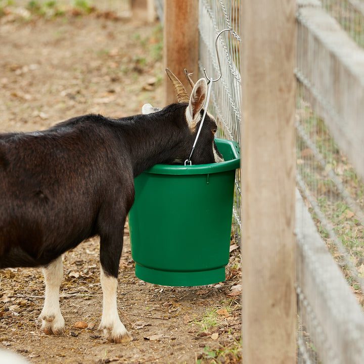 Farm Innovators 3 Gal Flat Back Plastic Heated Bucket, 70 Watt, Green (2 Pack)