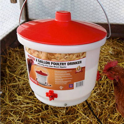 Farm Innovators Heated 2 Gallon Poultry Water Bucket Drinker, White/Red (2 Pack)