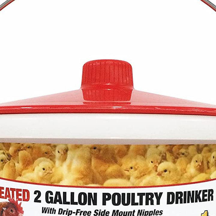 Farm Innovators Heated 2 Gallon Poultry Water Bucket Drinker, White/Red (2 Pack)