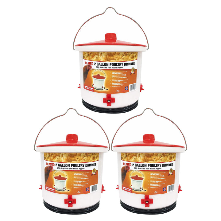 Farm Innovators Heated 2 Gallon Poultry Water Bucket Drinker, White/Red (3 Pack)