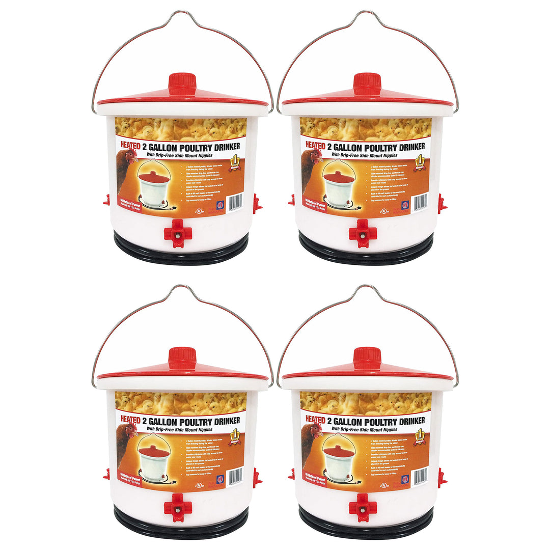 Farm Innovators Heated 2 Gallon Poultry Water Bucket Drinker, White/Red (4 Pack)