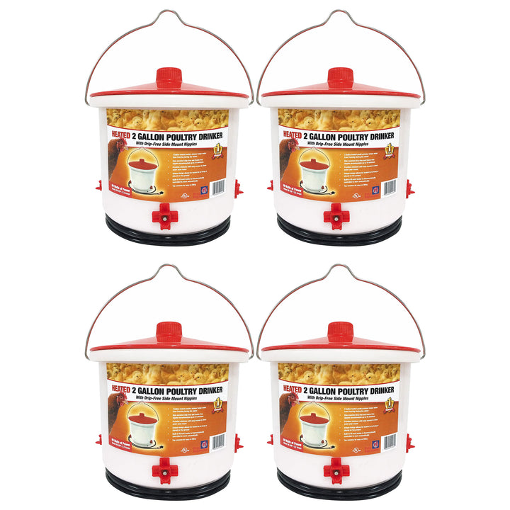 Farm Innovators Heated 2 Gallon Poultry Water Bucket Drinker, White/Red (4 Pack)