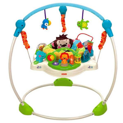 Fisher Price Precious Planet Baby Jumperoo Bouncer - Open Box