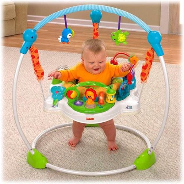 Fisher Price Precious Planet Baby Jumperoo Bouncer - Open Box
