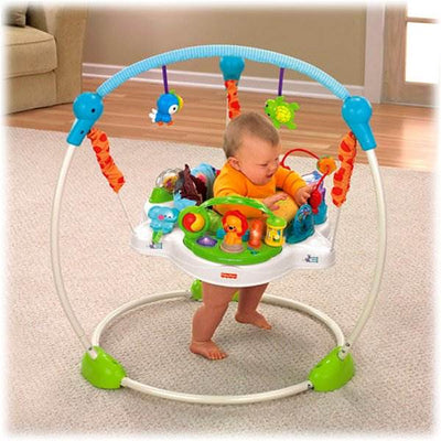 Fisher Price Precious Planet Baby Jumperoo Bouncer - Open Box
