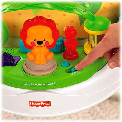 Fisher Price Precious Planet Baby Jumperoo Bouncer - Open Box