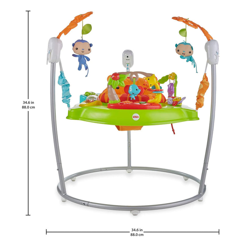 Fisher Price Tiger Time Jumperoo Activity Center with Music, Lights and Sounds